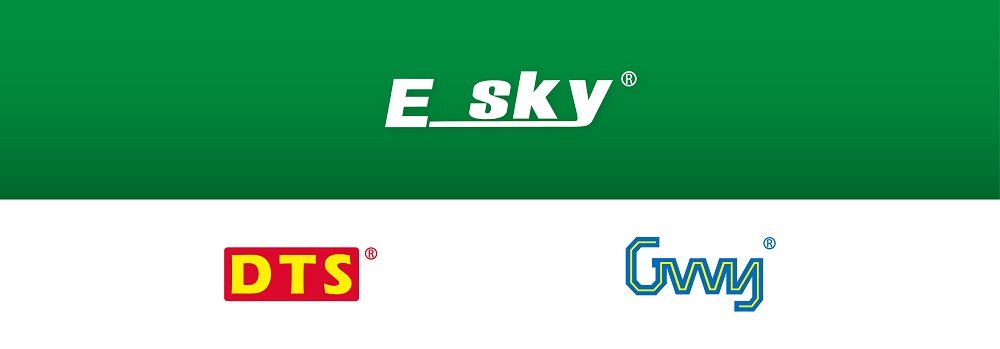 E_sky-Logo
